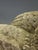 Victorian Gothic Revival Limestone Corbels, Tetramorph Lion & Ox, Harrogate, 1870, Set of 2 For Sale - Image 10 of 17