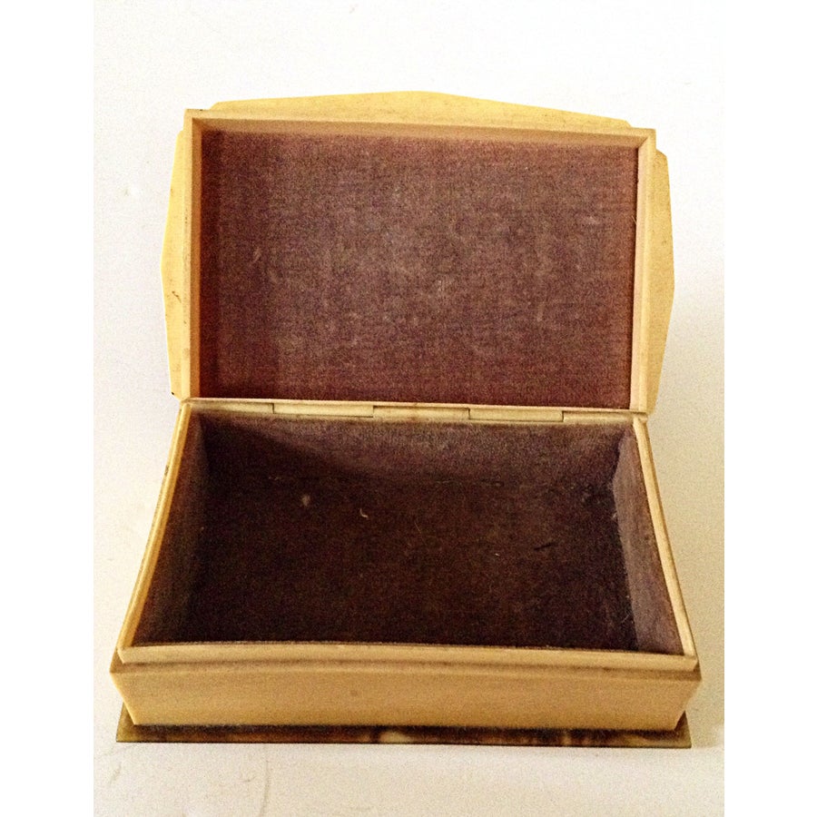 Celluloid Jewelry Box | Chairish