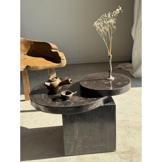 Coffee Table in Brown Petrified Wood with Double Circular Top on Cubic Base, Indonesia, 1980s For Sale - Image 15 of 16
