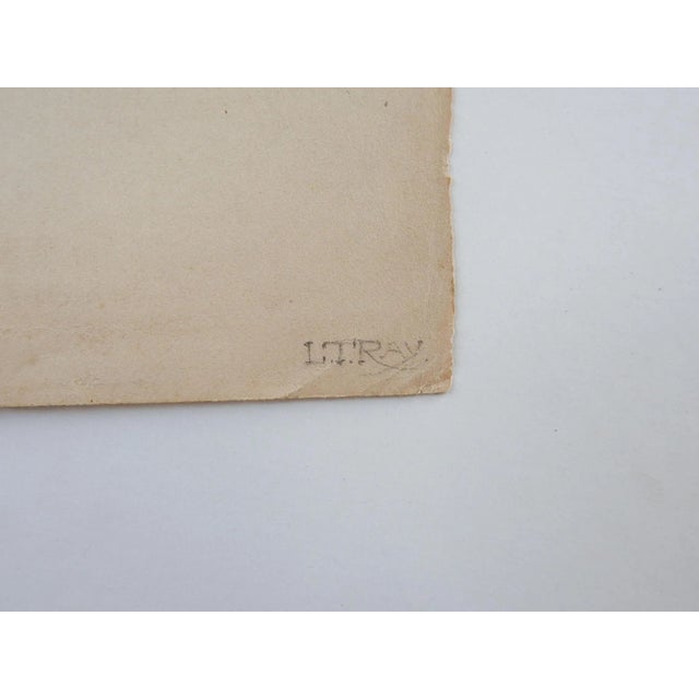 Antique circa 1912 pencil drawing on paper study of carved horse head sculpture. Signed L T Ray lower right corner. Likely...