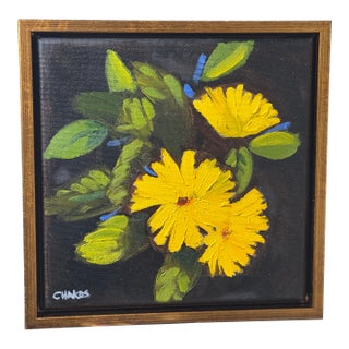 Leaving on Feb 10 "Sunny Yellow Cacera's" For Sale