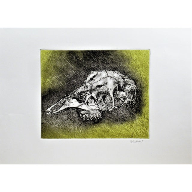 Arnold A. Grossman, Skull, 1990 For Sale