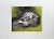 Arnold A. Grossman, Skull, 1990 For Sale