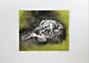 Arnold A. Grossman, Skull, 1990