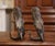 Verdigris Pair of 19th Century French Carved Verdigris Patinated Bronze Fish-Form Vases For Sale - Image 8 of 10