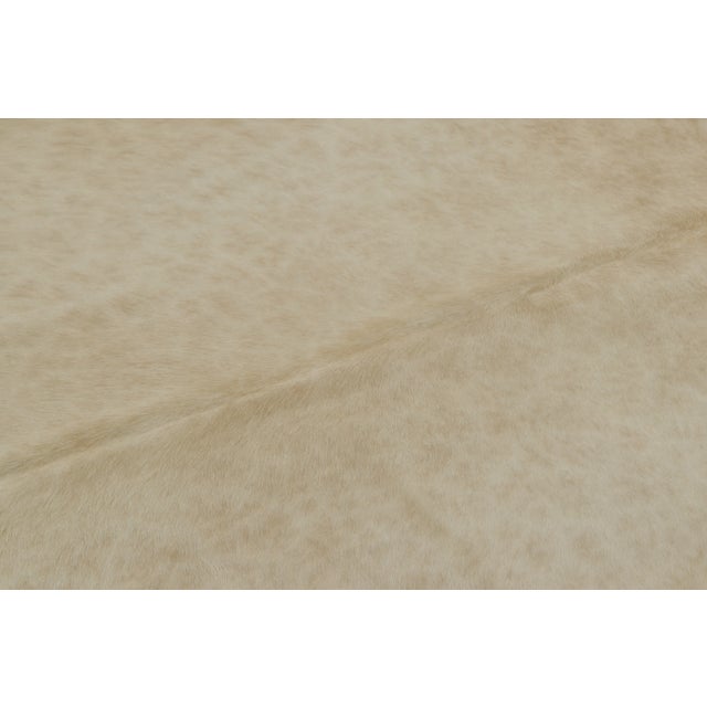 This 7x8 contemporary cowhide rug is an exciting new addition to Rug & Kilim’s Modern collection—a naturally shaped animal...