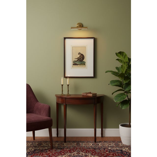 The Maimon, or Pig-Tailed Baboon - An Exceptional 18th-Century Natural History Engraving For Sale - Image 13 of 13