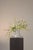 Contemporary Gallery Wall Floral Arrangement by Apartment 387 For Sale - Image 3 of 8