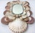 Wood Vintage Shell Mirror For Sale - Image 7 of 7