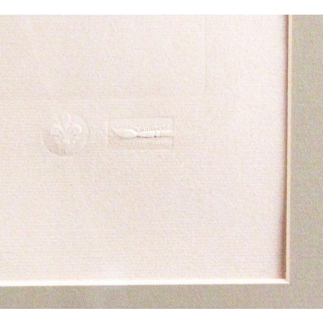 Illustration Original Custom Botanical Fern Prints with Makers Stamp For Sale - Image 3 of 18