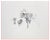 Miodrag Djuric (Dado), Untitled, 1968, Original Lithograph For Sale