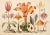 13" X 9" 'Garden Flowers' Botanical Print, 'Hortus Floridus' Style, Unframed For Sale - Image 6 of 6