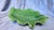 Late 20th Century Late 20th Century 17" Portugese Cabbageware Leaf Tray Trompe l'Oeil Majolica For Sale - Image 5 of 9