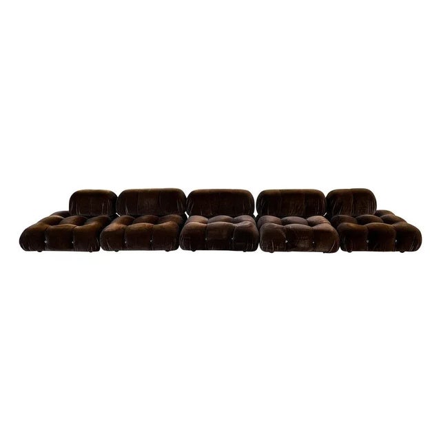 Mario Bellini Brown Alpaca Velvet Camaleonda Modular Sofa by Mario Bellini for C&B Italia, 1972, Set of 5 For Sale - Image 4 of 11