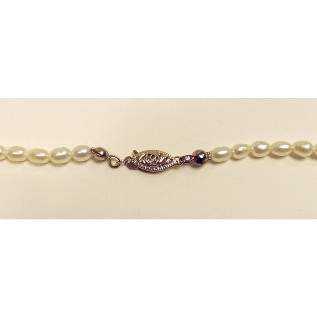 Contemporary Baltic Amber and Cultured Freshwater Pearl Necklace With 14k Gold Clasp For Sale In Dallas - Image 6 of 10