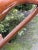 Mid 20th Century Rare Mid 20th Century Modern Italian Dovetail Wooden Hanger W/ Pole Fratelli Reguitti For Sale - Image 5 of 18