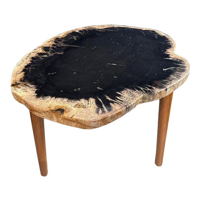 Andrianna Shamaris Ancient Palm Petrified Wood Side Table For Sale