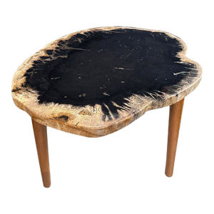 Andrianna Shamaris Ancient Palm Petrified Wood Side Table