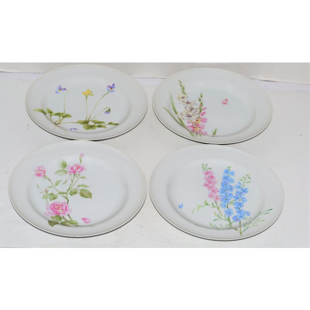 Modern Mikasa Flower of the Month Dinner Plates - Set of 12 For Sale - Image 3 of 6