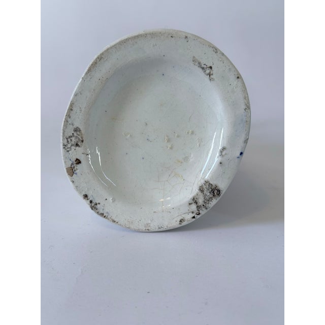 Maiden Staffordshire For Sale - Image 4 of 7