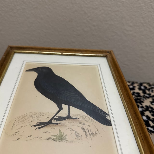 Antique-style bird illustration print with a classic "Dark Academia" or "Cottagecore" aesthetic.