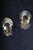 Pair of antique brass shell-shaped wall sconces/blakers, 20th century Shell-shaped mirrored back panels with two sconce...