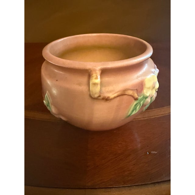 The Roseville Art Pottery Apple Blossom Small Jardiniere Vase #300-4, made in the United States around 1948, is a...