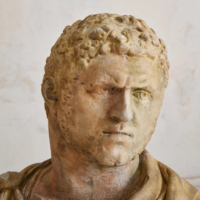 Traditional Large French Stone Bust of Emperor Caracalla, 1940s For Sale - Image 3 of 5