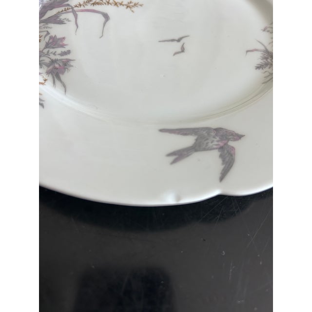 Porcelain Plates and Platter by Ch Pillivuyt & Cie, 1890s, Set of 8 For Sale - Image 13 of 17