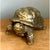 Vintage Gold Painted Wood Turtle Figure For Sale - Image 10 of 12