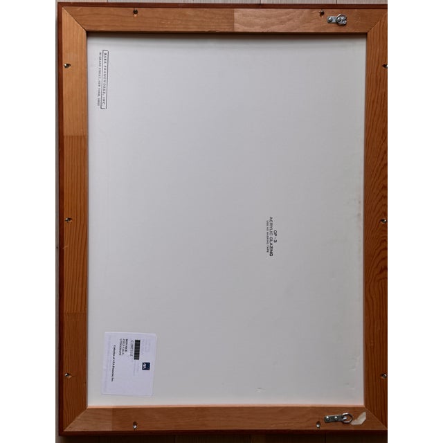 Don Nice, “Field Falls” - Axa Financial Corporate Collection - Bark Frameworks For Sale In New York - Image 6 of 9