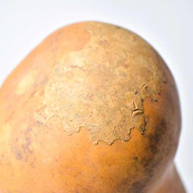 Early 20th Century Calabash Shaker Gourd Asante Nigeria For Sale - Image 10 of 10