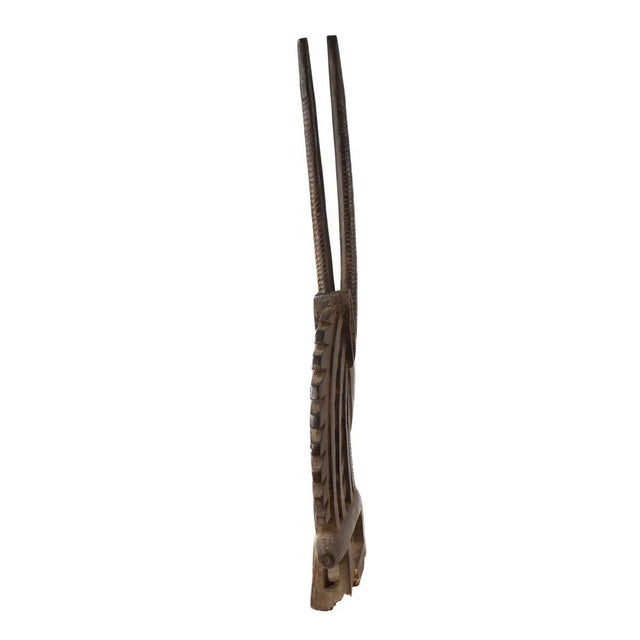 African Early 20th Century Bamana Antelope Chi Wara Headcrest Mali For Sale - Image 3 of 7