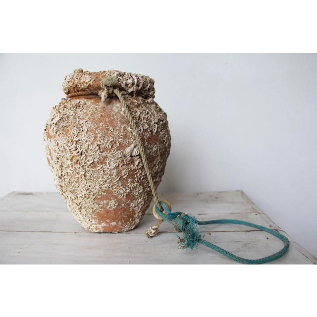 19th Century Terracotta Octopus Trap Vase For Sale - Image 6 of 13