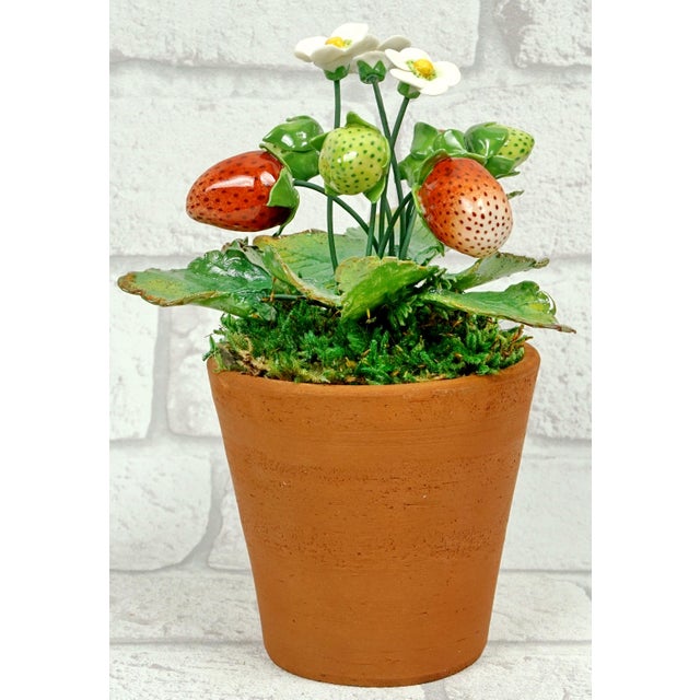 Early 21st Century Porcelain Strawberry Plants by Didier Gardillou - Contemporain Period For Sale - Image 5 of 10