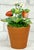 Early 21st Century Porcelain Strawberry Plants by Didier Gardillou - Contemporain Period For Sale - Image 5 of 10