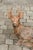 American Vintage American Concrete Reclining Deer Sculpture with Iron Antlers and Patina For Sale - Image 3 of 11