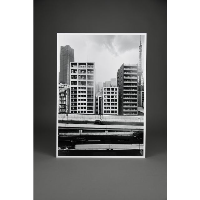 Taco, Minato–Higashiazabu, Tokyo, 2024, Archival Pigment Print For Sale - Image 9 of 10