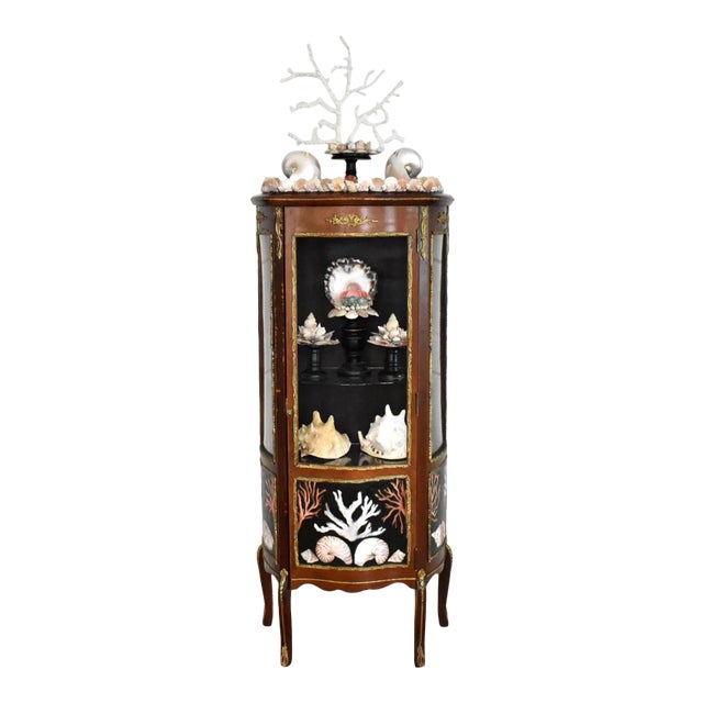 Kunstkabinett of Shells by Susannah Carson For Sale