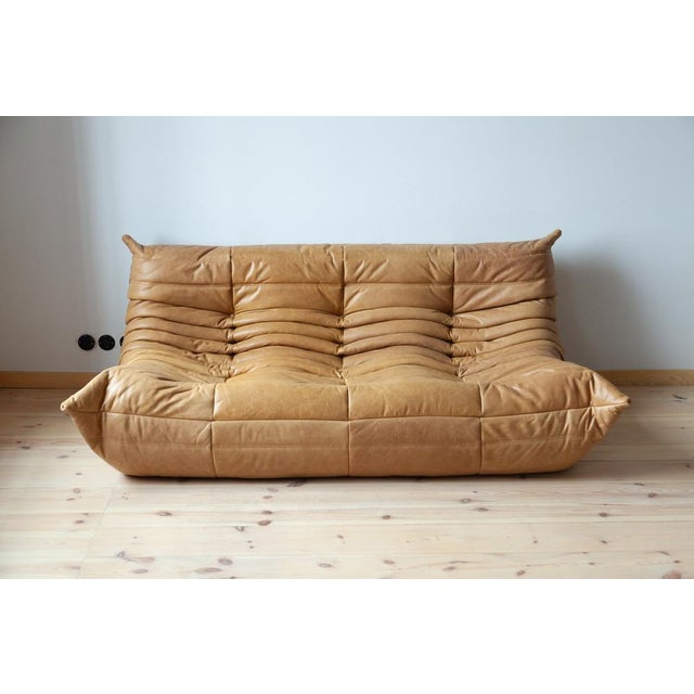 Camel Brown Leather Togo Living Room Set by Michel Ducaroy for Ligne Roset, Set of 5 For Sale - Image 6 of 14