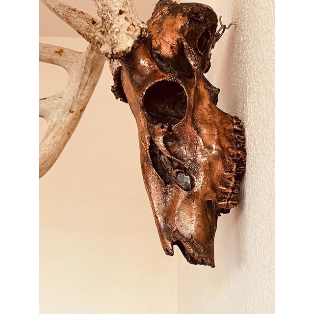 2000 - 2009 Authentic Large Decorative Copper Coated Deer Skull Rustic Cabin Decor Art For Sale - Image 5 of 11