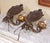Pair of Mid-Century American Renaissance Revival Iron Two-Light Sconces For Sale - Image 11 of 11