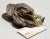 Nice quality letter or note desk clip in the form of a sporting hound or spaniel dog. It is heavy hand cast bronze,...