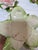 Capodimonte Blooming Flower Candle Holders, Set of Three For Sale - Image 4 of 12