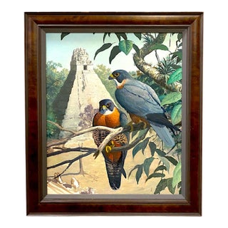 Late 20th Century Falcons Original Oil Painting Richard Sloan Style Maya Temple Birds Rainforest For Sale