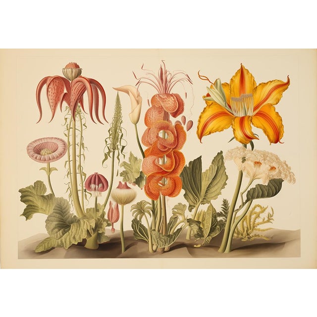 Set of 4 - 20' X 13.9' Botanical Prints 'Hortus Floridus' Style Flowers #3, Unframed For Sale - Image 9 of 9