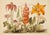 Set of 4 Botanical Prints — Hortus Floridus Style Flowers, Unframed For Sale - Image 9 of 9