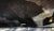 Harvey Probber MCM Burl Dining Conference Table 2 Leaves For Sale - Image 11 of 11