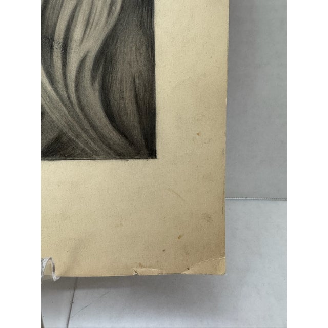 1940s 1940s Original Signed Graphite Illustration of Sporting Dog Setter Portrait, 14 × 11 In. For Sale - Image 5 of 7