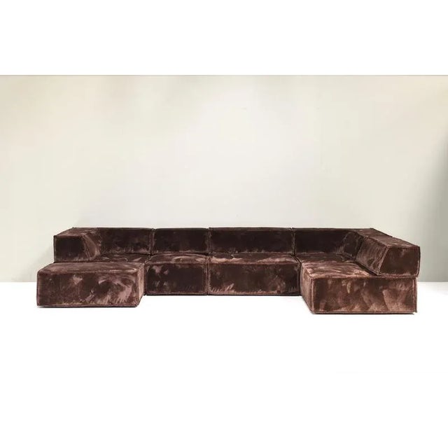 Chocolate Brown COR Trio Sectional Sofa, 1972, Set of 11 For Sale - Image 6 of 18